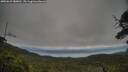 ./images/calvert/fitz-hugh-hecate/20250625/fitz-hugh-hecate20250625_080011M.jpg