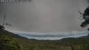 ./images/calvert/fitz-hugh-hecate/20250625/fitz-hugh-hecate20250625_080510M.jpg