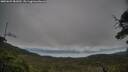 ./images/calvert/fitz-hugh-hecate/20250625/fitz-hugh-hecate20250625_081010M.jpg