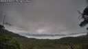 ./images/calvert/fitz-hugh-hecate/20250625/fitz-hugh-hecate20250625_082510M.jpg