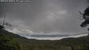 ./images/calvert/fitz-hugh-hecate/20250625/fitz-hugh-hecate20250625_083010M.jpg