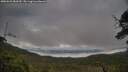 ./images/calvert/fitz-hugh-hecate/20250625/fitz-hugh-hecate20250625_083510M.jpg