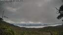 ./images/calvert/fitz-hugh-hecate/20250625/fitz-hugh-hecate20250625_084009M.jpg