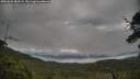 ./images/calvert/fitz-hugh-hecate/20250625/fitz-hugh-hecate20250625_084508M.jpg