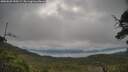 ./images/calvert/fitz-hugh-hecate/20250625/fitz-hugh-hecate20250625_090509M.jpg