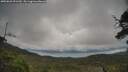 ./images/calvert/fitz-hugh-hecate/20250625/fitz-hugh-hecate20250625_091510M.jpg