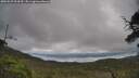 ./images/calvert/fitz-hugh-hecate/20250625/fitz-hugh-hecate20250625_094510M.jpg