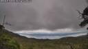 ./images/calvert/fitz-hugh-hecate/20250625/fitz-hugh-hecate20250625_100510M.jpg