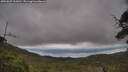 ./images/calvert/fitz-hugh-hecate/20250625/fitz-hugh-hecate20250625_101010M.jpg