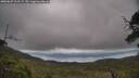./images/calvert/fitz-hugh-hecate/20250625/fitz-hugh-hecate20250625_101509M.jpg