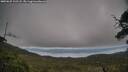 ./images/calvert/fitz-hugh-hecate/20250625/fitz-hugh-hecate20250625_102508M.jpg