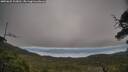 ./images/calvert/fitz-hugh-hecate/20250625/fitz-hugh-hecate20250625_103010M.jpg