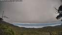 ./images/calvert/fitz-hugh-hecate/20250625/fitz-hugh-hecate20250625_103509M.jpg