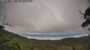 ./images/calvert/fitz-hugh-hecate/20250625/fitz-hugh-hecate20250625_104010M.jpg