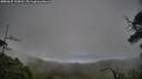 ./images/calvert/fitz-hugh-hecate/20250625/fitz-hugh-hecate20250625_104510M.jpg