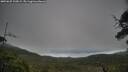./images/calvert/fitz-hugh-hecate/20250625/fitz-hugh-hecate20250625_105009M.jpg