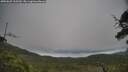 ./images/calvert/fitz-hugh-hecate/20250625/fitz-hugh-hecate20250625_105509M.jpg
