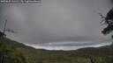 ./images/calvert/fitz-hugh-hecate/20250625/fitz-hugh-hecate20250625_111511M.jpg
