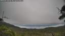 ./images/calvert/fitz-hugh-hecate/20250625/fitz-hugh-hecate20250625_112508M.jpg