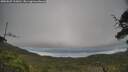 ./images/calvert/fitz-hugh-hecate/20250625/fitz-hugh-hecate20250625_113010M.jpg