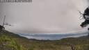 ./images/calvert/fitz-hugh-hecate/20250625/fitz-hugh-hecate20250625_114010M.jpg