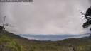 ./images/calvert/fitz-hugh-hecate/20250625/fitz-hugh-hecate20250625_114510M.jpg