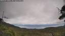 ./images/calvert/fitz-hugh-hecate/20250625/fitz-hugh-hecate20250625_115011M.jpg