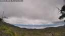 ./images/calvert/fitz-hugh-hecate/20250625/fitz-hugh-hecate20250625_120010M.jpg