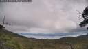 ./images/calvert/fitz-hugh-hecate/20250625/fitz-hugh-hecate20250625_120508M.jpg