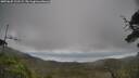 ./images/calvert/fitz-hugh-hecate/20250625/fitz-hugh-hecate20250625_121509M.jpg