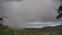 ./images/calvert/fitz-hugh-hecate/20250625/fitz-hugh-hecate20250625_122009M.jpg