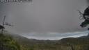 ./images/calvert/fitz-hugh-hecate/20250625/fitz-hugh-hecate20250625_122507M.jpg