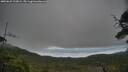 ./images/calvert/fitz-hugh-hecate/20250625/fitz-hugh-hecate20250625_123009M.jpg