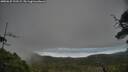 ./images/calvert/fitz-hugh-hecate/20250625/fitz-hugh-hecate20250625_123508M.jpg
