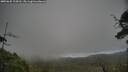 ./images/calvert/fitz-hugh-hecate/20250625/fitz-hugh-hecate20250625_124510M.jpg