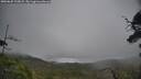 ./images/calvert/fitz-hugh-hecate/20250625/fitz-hugh-hecate20250625_125007M.jpg