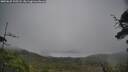 ./images/calvert/fitz-hugh-hecate/20250625/fitz-hugh-hecate20250625_125508M.jpg