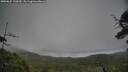 ./images/calvert/fitz-hugh-hecate/20250625/fitz-hugh-hecate20250625_130010M.jpg
