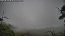 ./images/calvert/fitz-hugh-hecate/20250625/fitz-hugh-hecate20250625_130510M.jpg