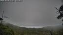 ./images/calvert/fitz-hugh-hecate/20250625/fitz-hugh-hecate20250625_131008M.jpg