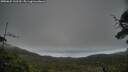 ./images/calvert/fitz-hugh-hecate/20250625/fitz-hugh-hecate20250625_132510M.jpg