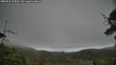 ./images/calvert/fitz-hugh-hecate/20250625/fitz-hugh-hecate20250625_133012M.jpg