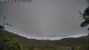 ./images/calvert/fitz-hugh-hecate/20250625/fitz-hugh-hecate20250625_133511M.jpg
