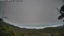 ./images/calvert/fitz-hugh-hecate/20250625/fitz-hugh-hecate20250625_134010M.jpg