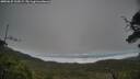 ./images/calvert/fitz-hugh-hecate/20250625/fitz-hugh-hecate20250625_134509M.jpg