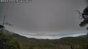 ./images/calvert/fitz-hugh-hecate/20250625/fitz-hugh-hecate20250625_135510M.jpg