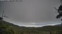 ./images/calvert/fitz-hugh-hecate/20250625/fitz-hugh-hecate20250625_140012M.jpg