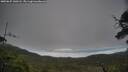 ./images/calvert/fitz-hugh-hecate/20250625/fitz-hugh-hecate20250625_140506M.jpg