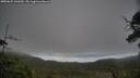 ./images/calvert/fitz-hugh-hecate/20250625/fitz-hugh-hecate20250625_141010M.jpg