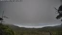 ./images/calvert/fitz-hugh-hecate/20250625/fitz-hugh-hecate20250625_142011M.jpg